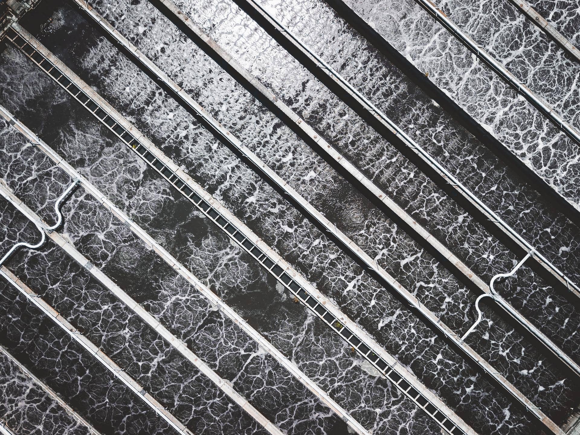 ivan-bandura-8QvN0G-zff0-unsplash ivan-bandura-8QvN0G-zff0-unsplash