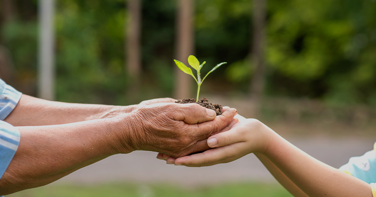 Meio ambiente limpo e saudável é direito humano!