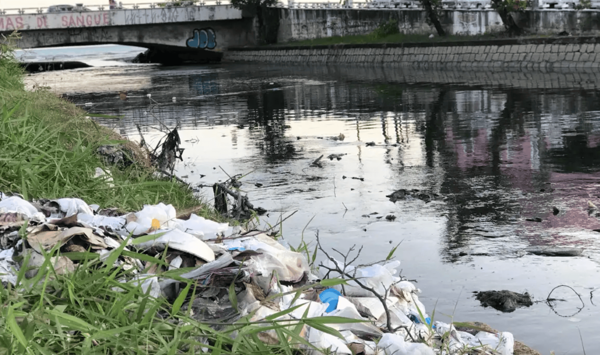 10 anos dos ODS: metas seguem distantes, mas soluções são possíveis