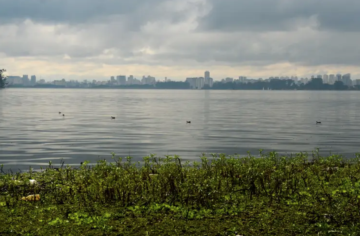 Represa do Guarapiranga, na Zona Sul de São Paulo (Rovena Rosa/Agência Brasil)