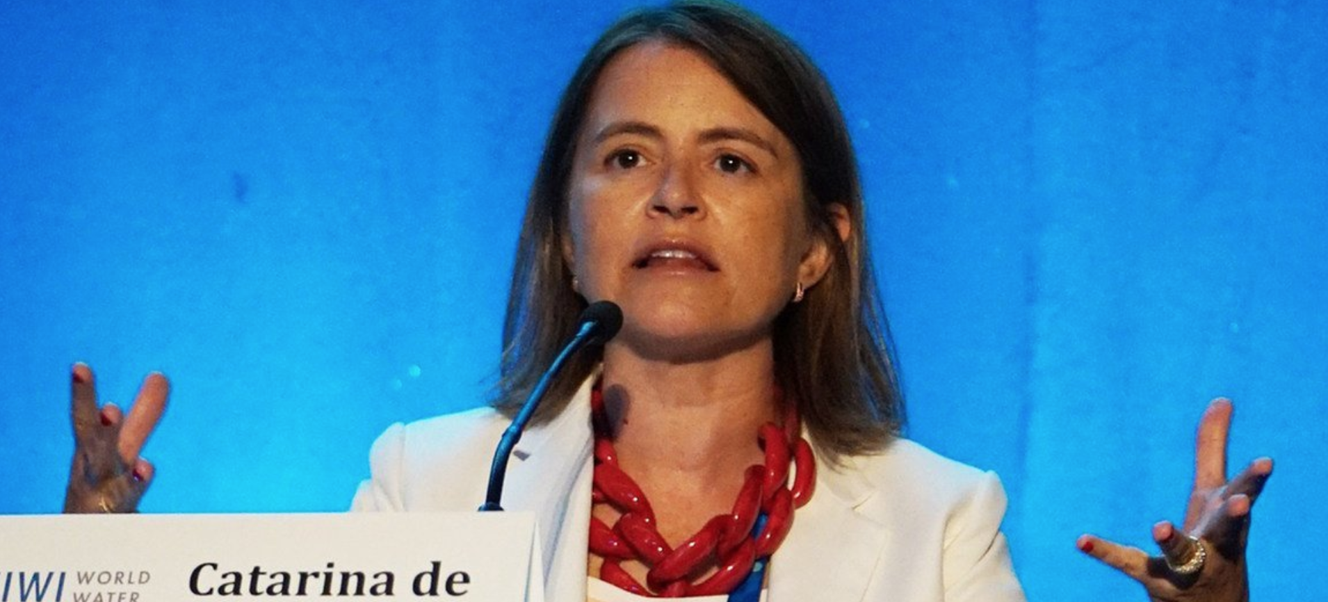 Catarina de Albuquerque, primeira relatora especial da ONU para o DHAES (Direito Humano à Água e ao Esgotamento Sanitário) (Divulgação ONU)