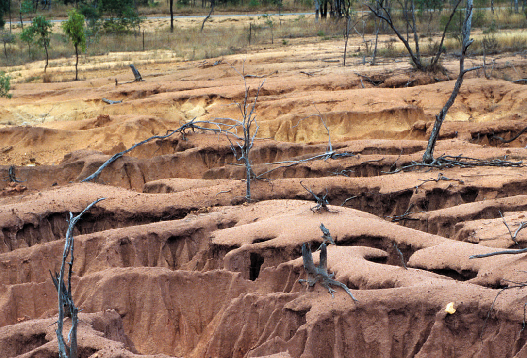 Planeta entra em estado de ‘falência hídrica’, segundo relatório da ONU