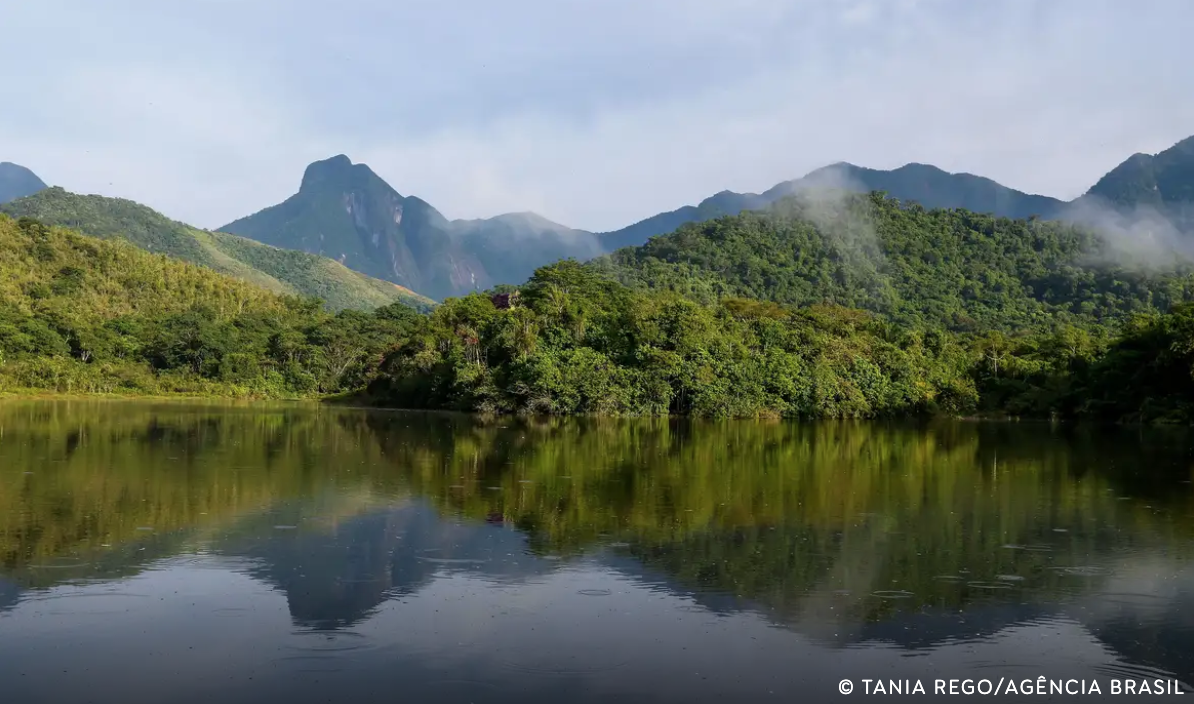 (Tania Rego/Agência Brasil)
