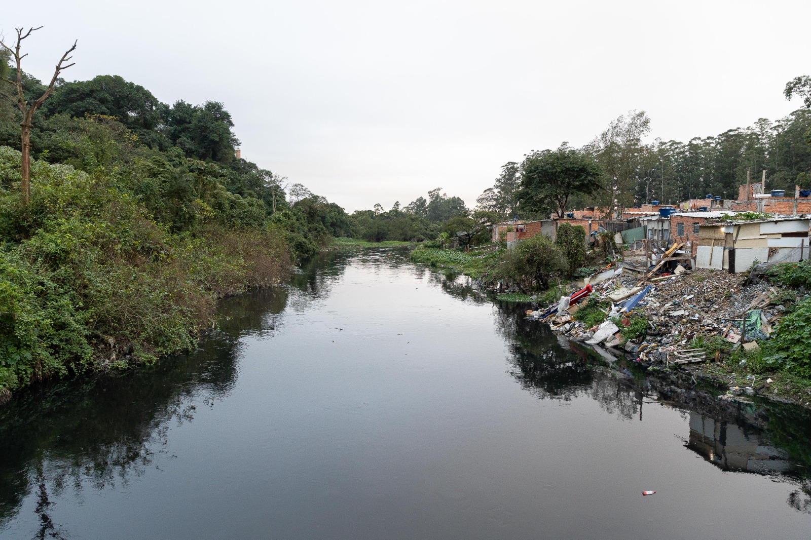 Rio Tietê não tem trecho ‘plenamente saudável’, diz estudo do SOS Mata Atlântica